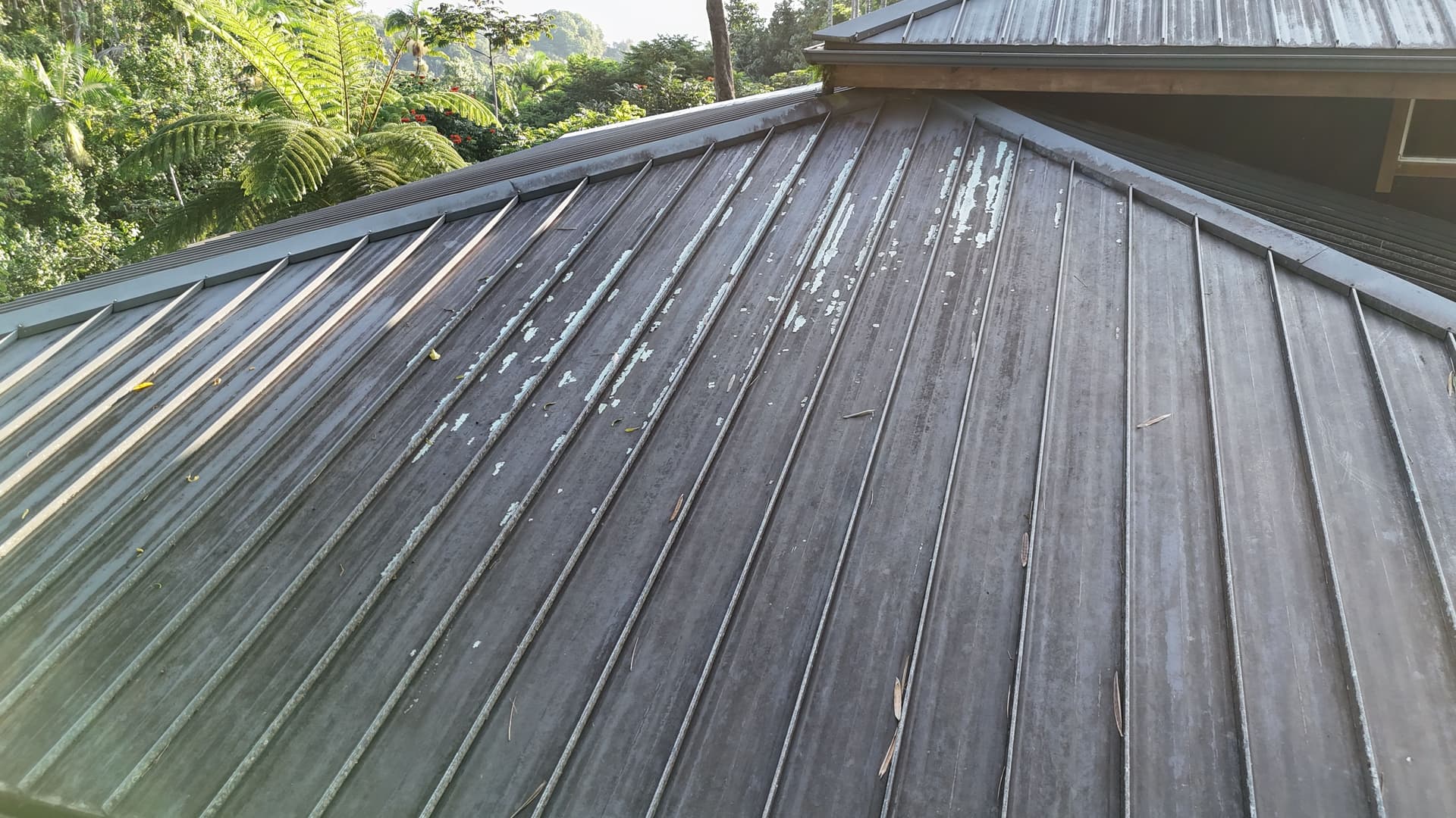 Gallery photos for Metal Roof Restoration on a Hawaii Home with Solar Panels: Image #5