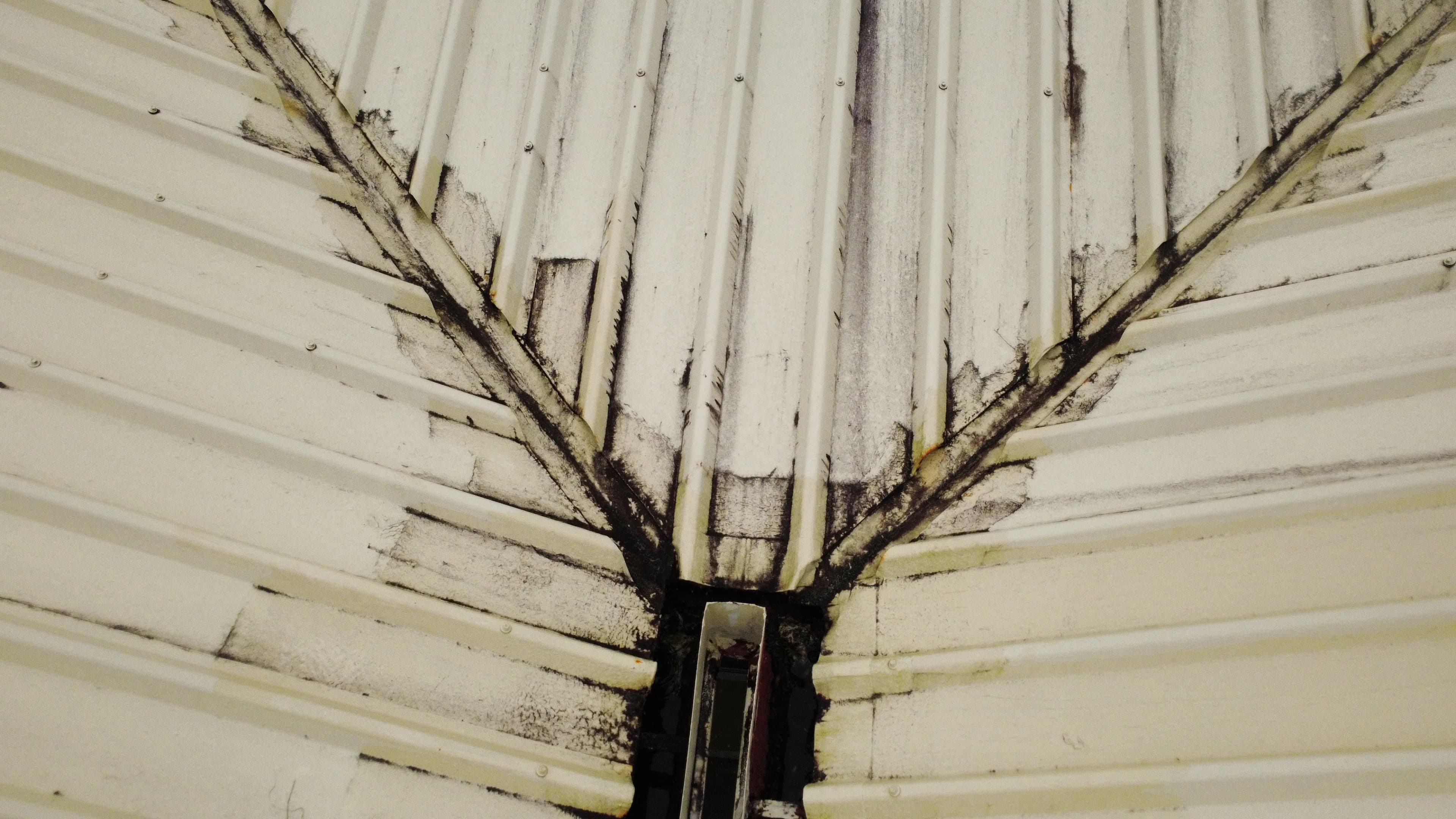 Project Hilo Metal Roof Wash, Rust Treatment and Full Paint Restoration image