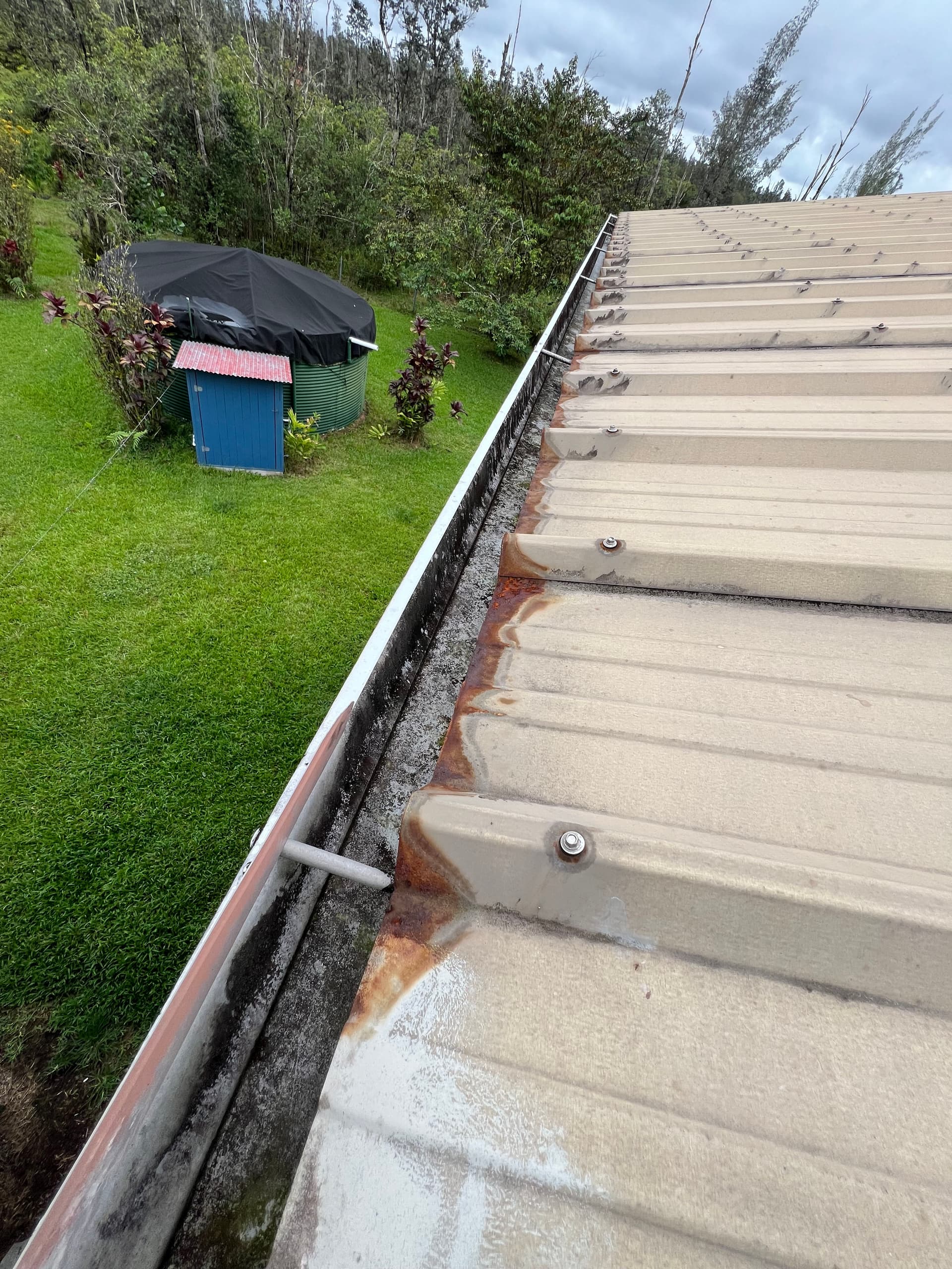 Roof Restoration Success in Orchidland image