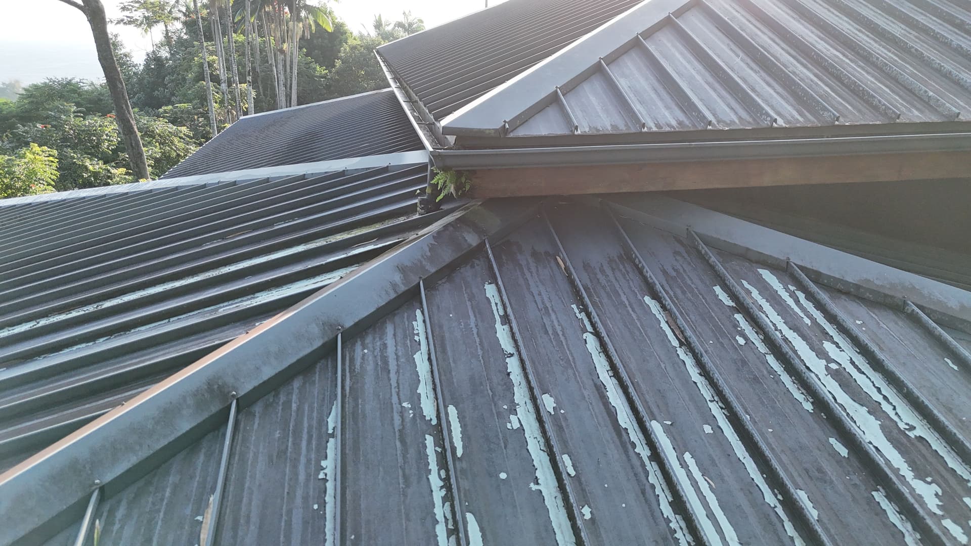 Gallery photos for Metal Roof Restoration on a Hawaii Home with Solar Panels: Image #4