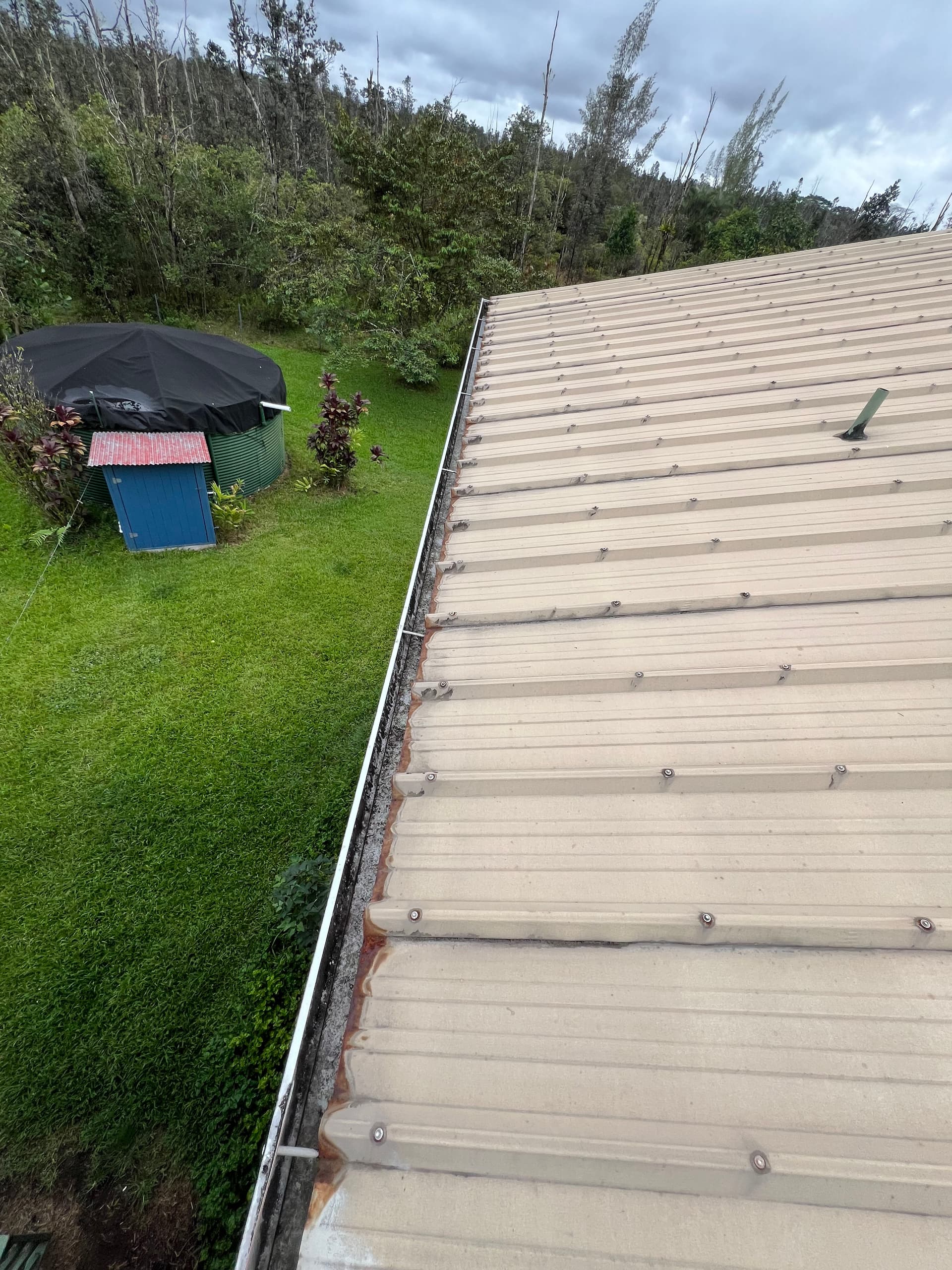 Gallery photos for Roof Restoration Success in Orchidland: Image #1