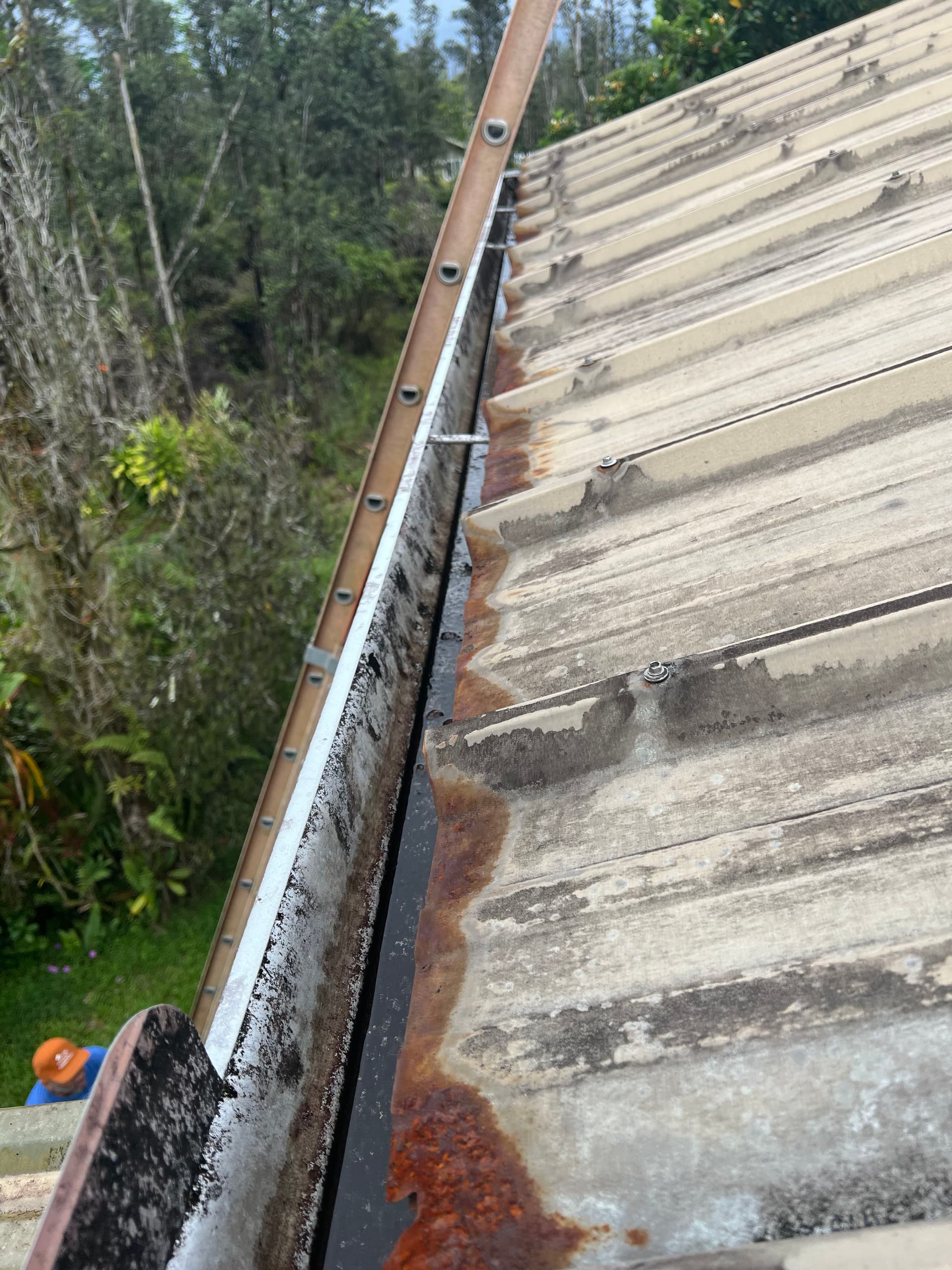 Gallery photos for Roof Restoration Success in Orchidland: Image #2