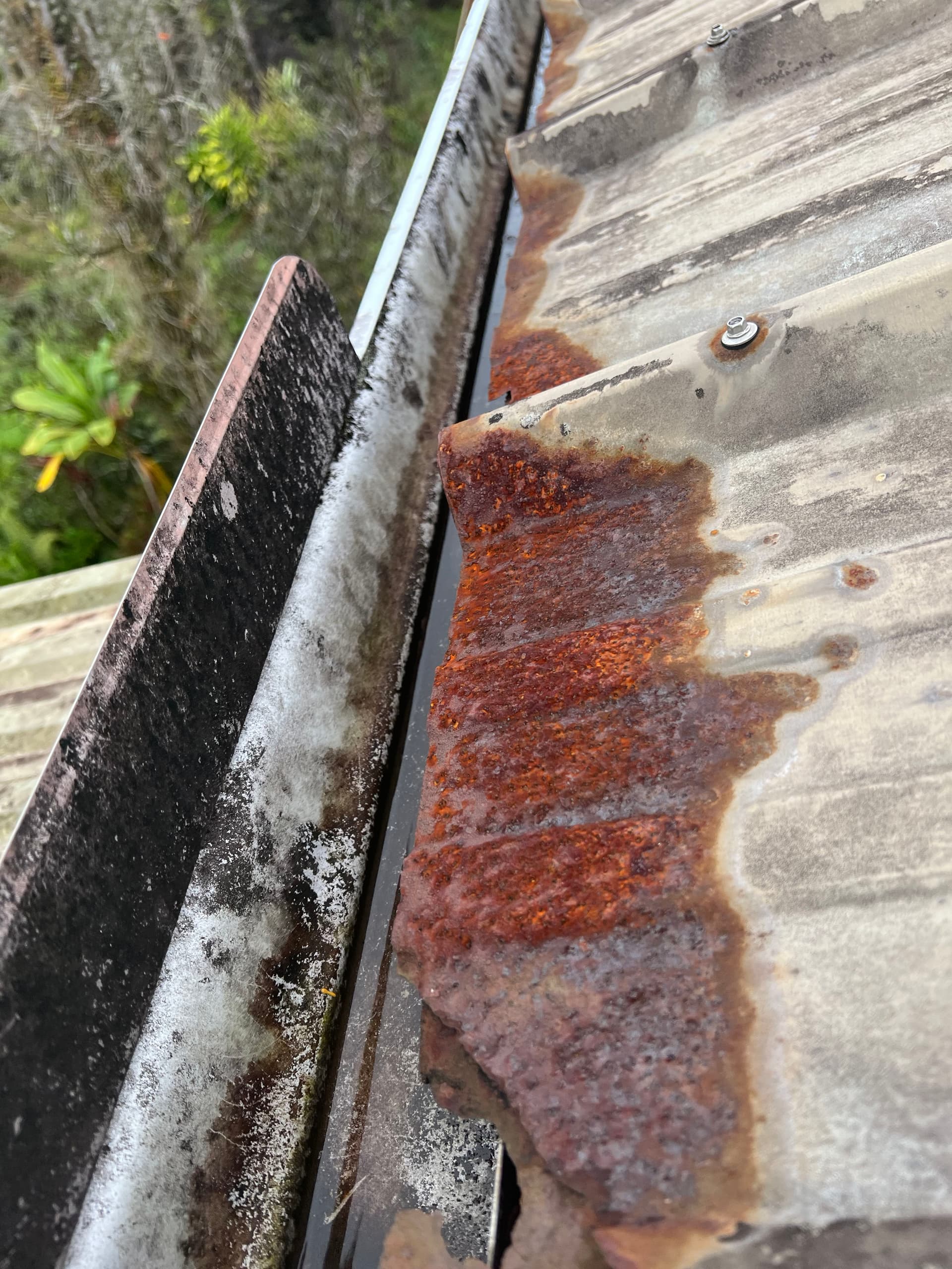 Gallery photos for Roof Restoration Success in Orchidland: Image #4