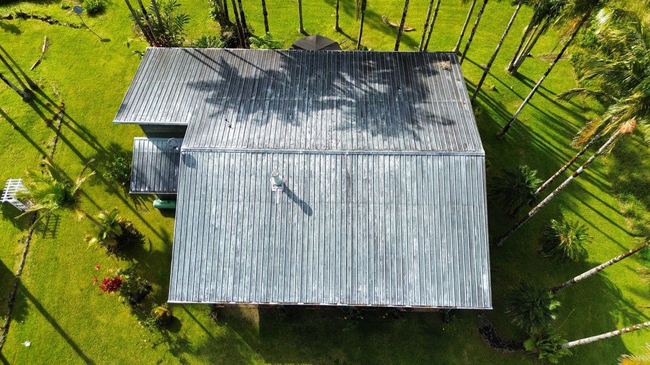 Roof Cleaning and Painting in Hilo